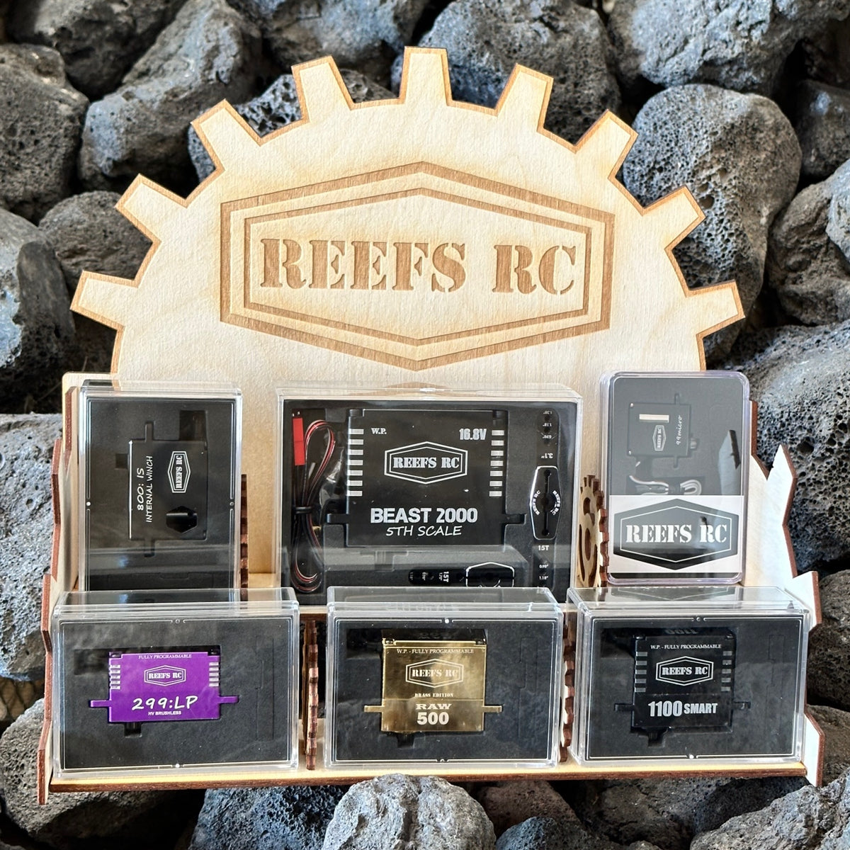 REEFS Display Case #REEFS168