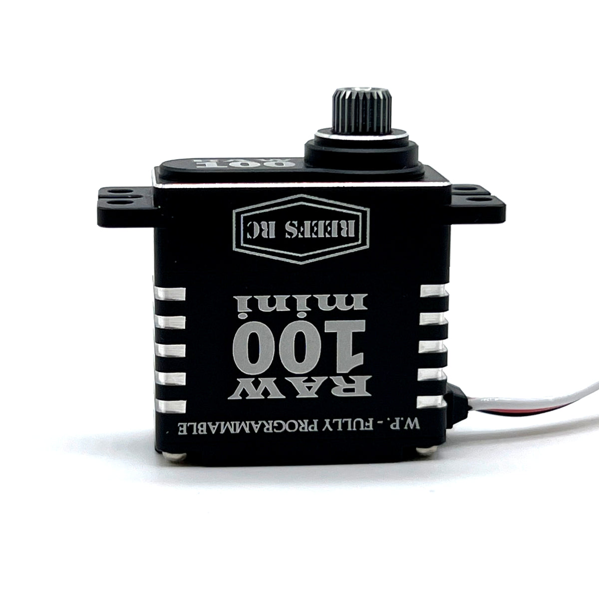 RAW 100 MINI BLK #REEFS135