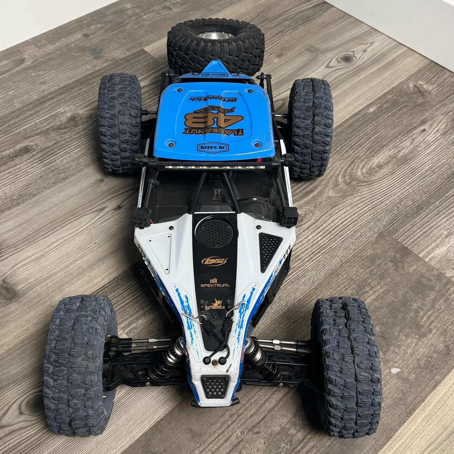 REEFS Losi Lasernut