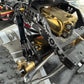 REEFS Showcase Axial PRO!