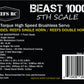 Beast 1000 1/5th Scale Servo